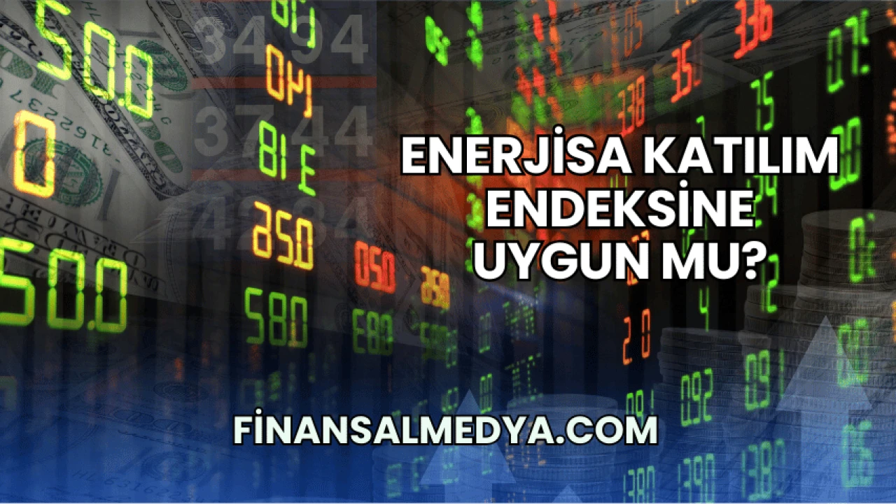 Enerjisa Katılım Endeksine Uygun mu?