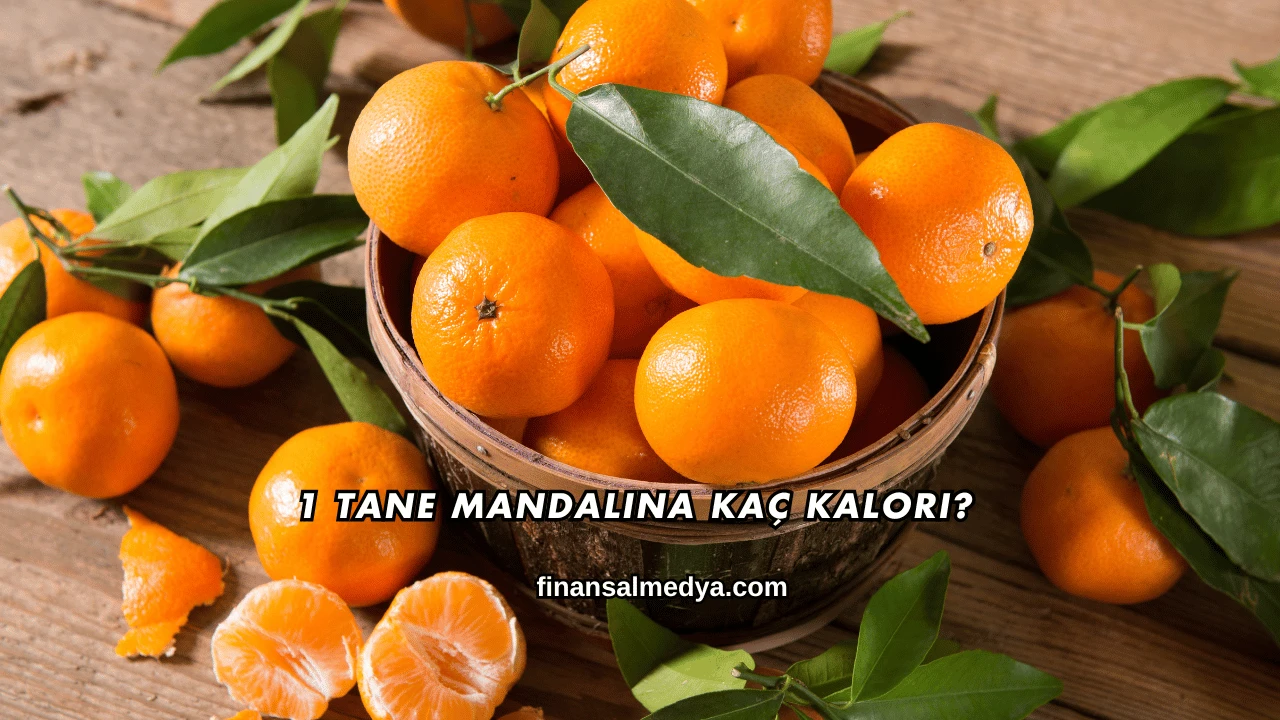 1 Tane Mandalina Kaç Kalori?