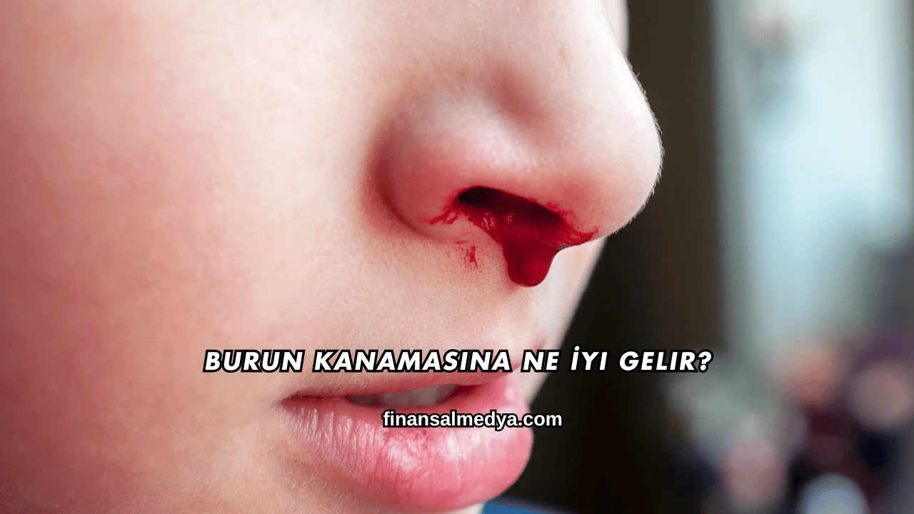 Burun Kanamasına Ne İyi Gelir?