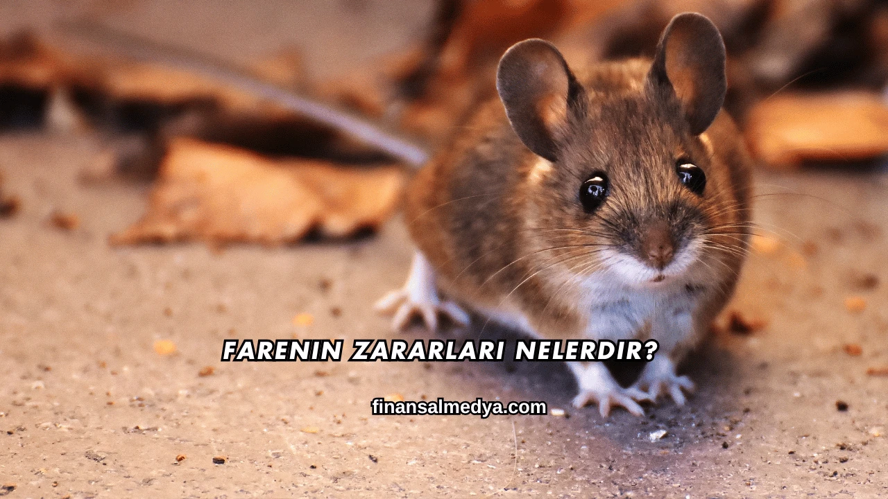 Farenin Zararları Nelerdir?