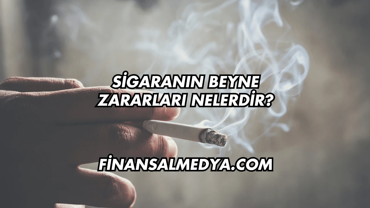 Sigaranın Beyne Zararları Nelerdir?