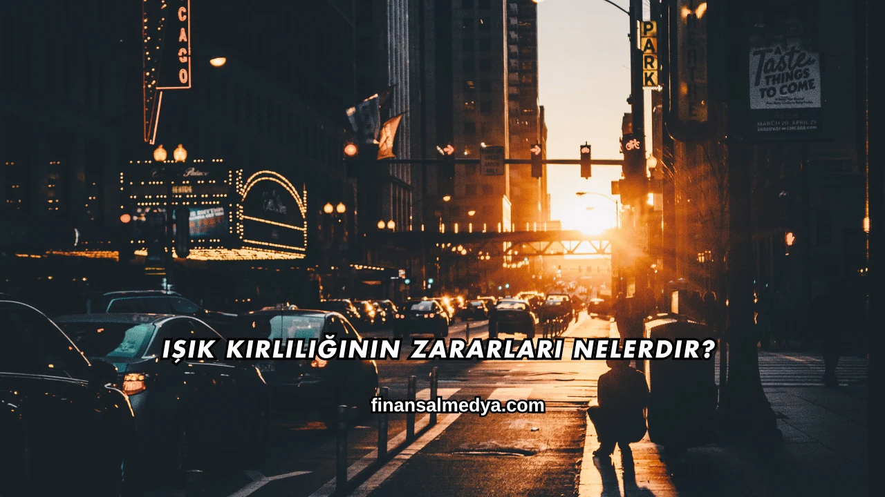 Işık Kirliliğinin Zararları Nelerdir?