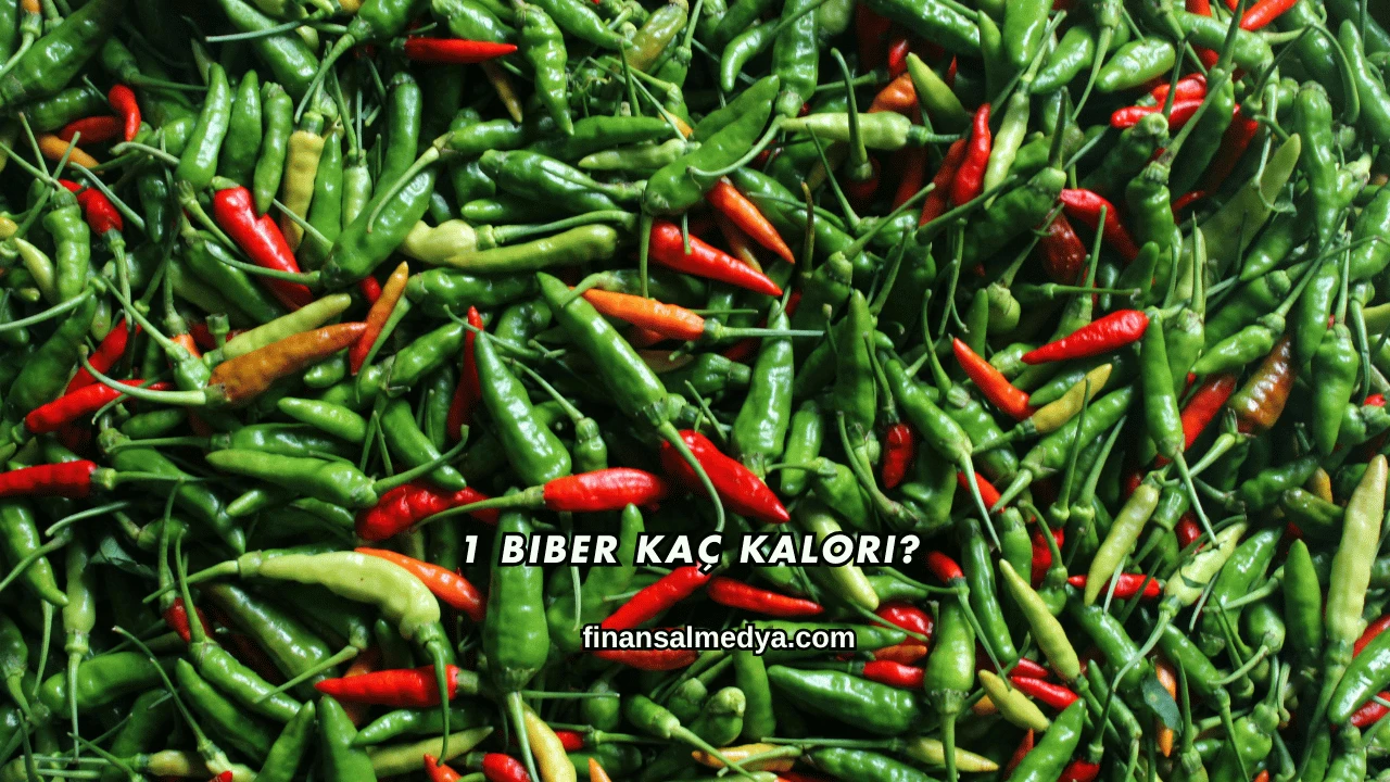 1 Biber Kaç Kalori?