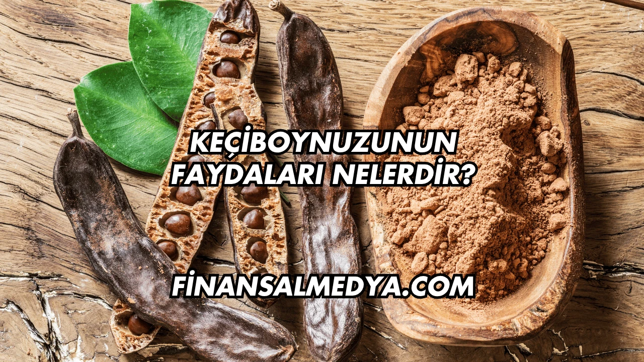 Keçiboynuzunun Faydaları Nelerdir?