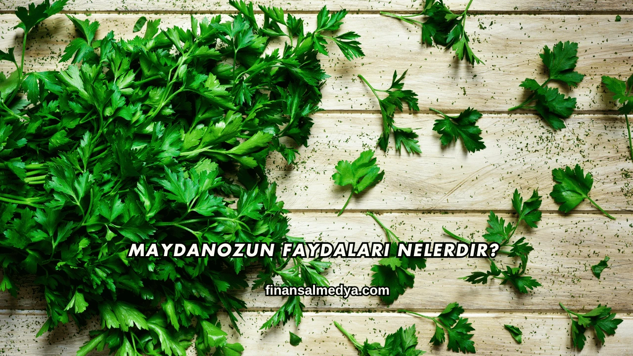 Maydanozun Faydaları Nelerdir?