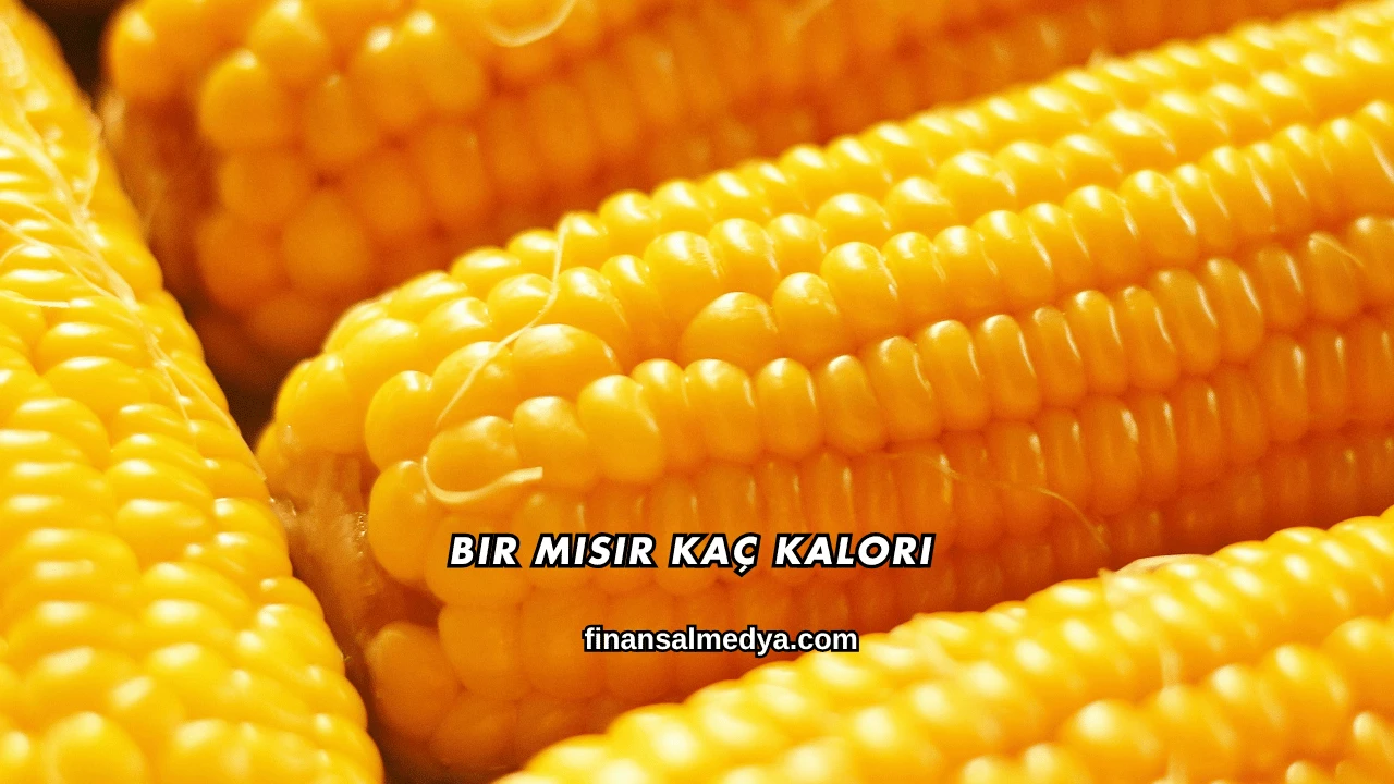 Bir Mısır Kaç Kalori