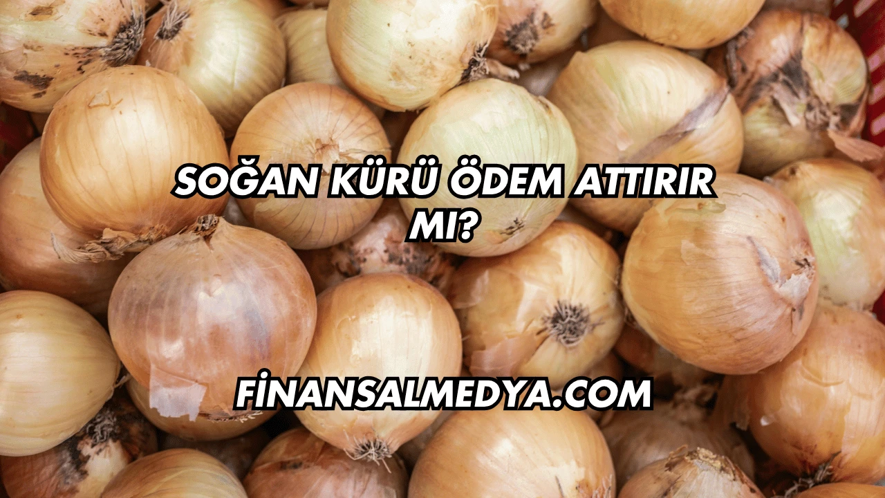 Soğan Kürü Ödem Attırır mı?