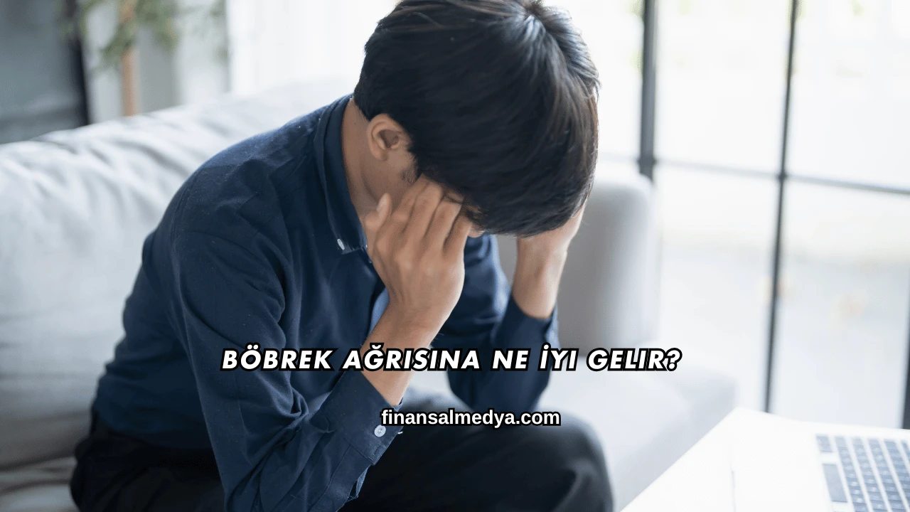 Böbrek Ağrısına Ne İyi Gelir?