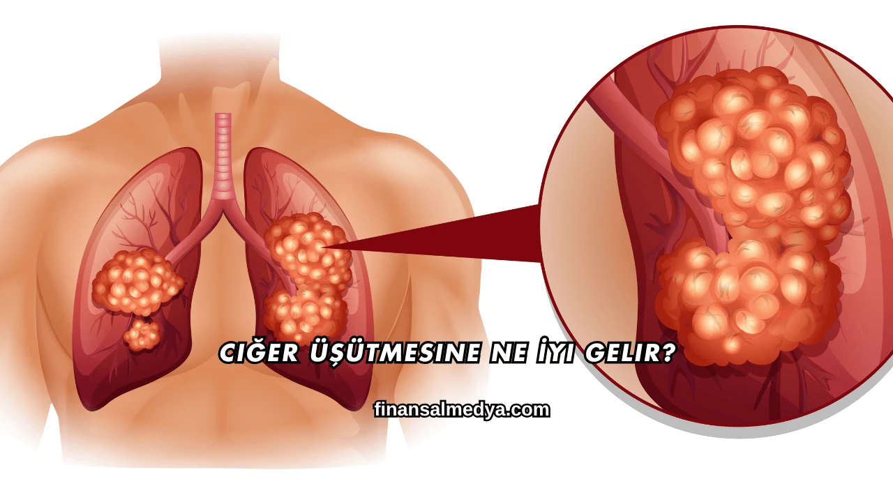 Ciğer Üşütmesine Ne İyi Gelir?