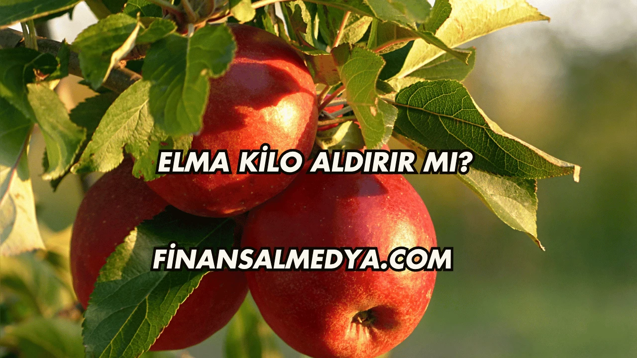 Elma Kilo Aldırır mı?