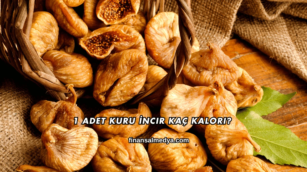 1 Adet Kuru İncir Kaç Kalori?