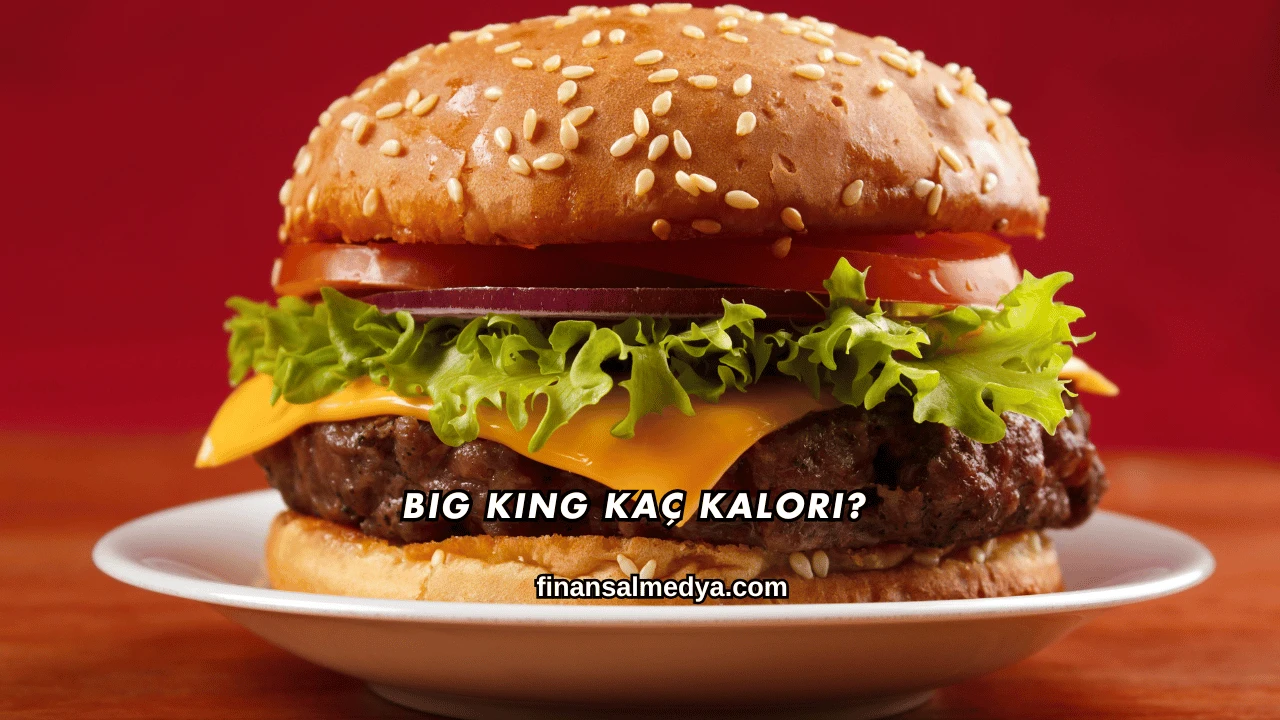 Big King Kaç Kalori?