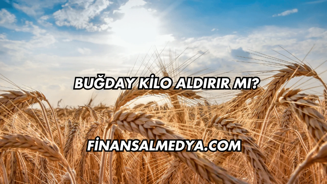 Buğday Kilo Aldırır mı?