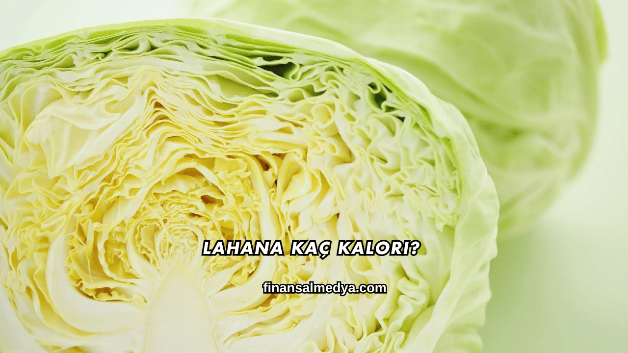 Lahana Kaç Kalori?
