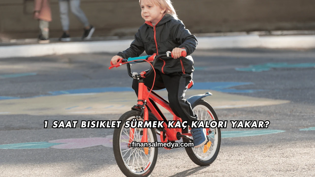 1 Saat Bisiklet Sürmek Kaç Kalori Yakar?