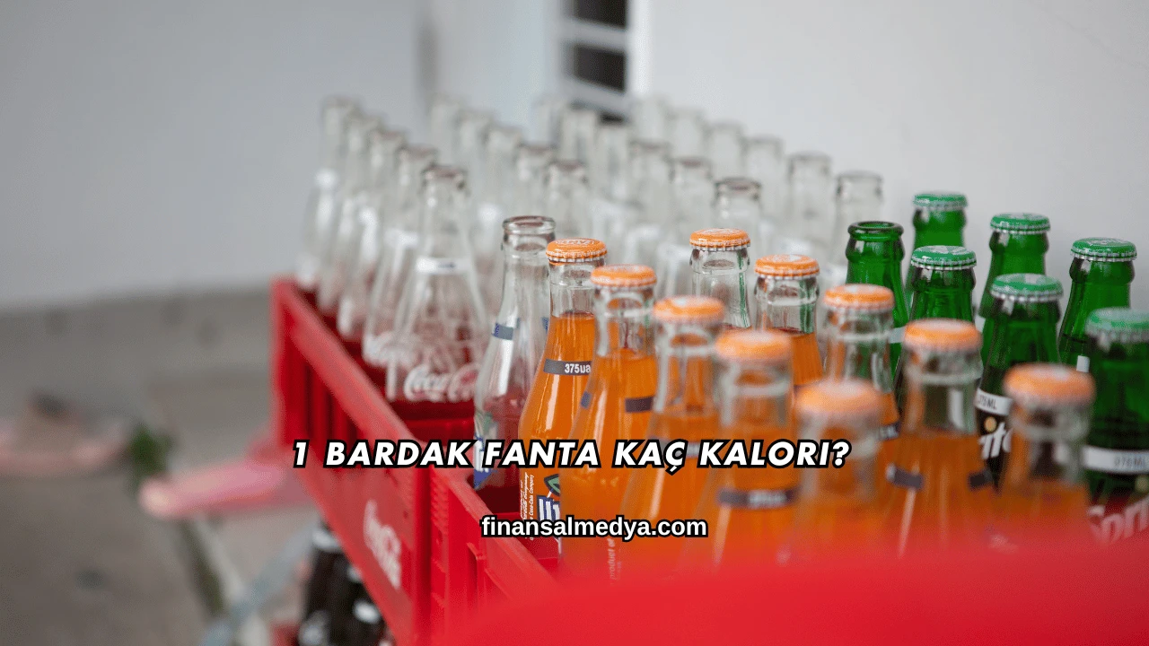 1 Bardak Fanta Kaç Kalori?