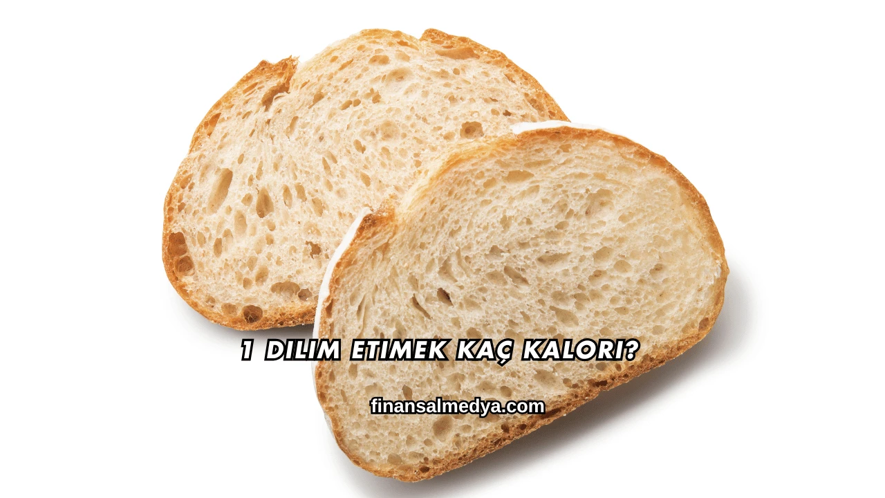 1 Dilim Etimek Kaç Kalori?