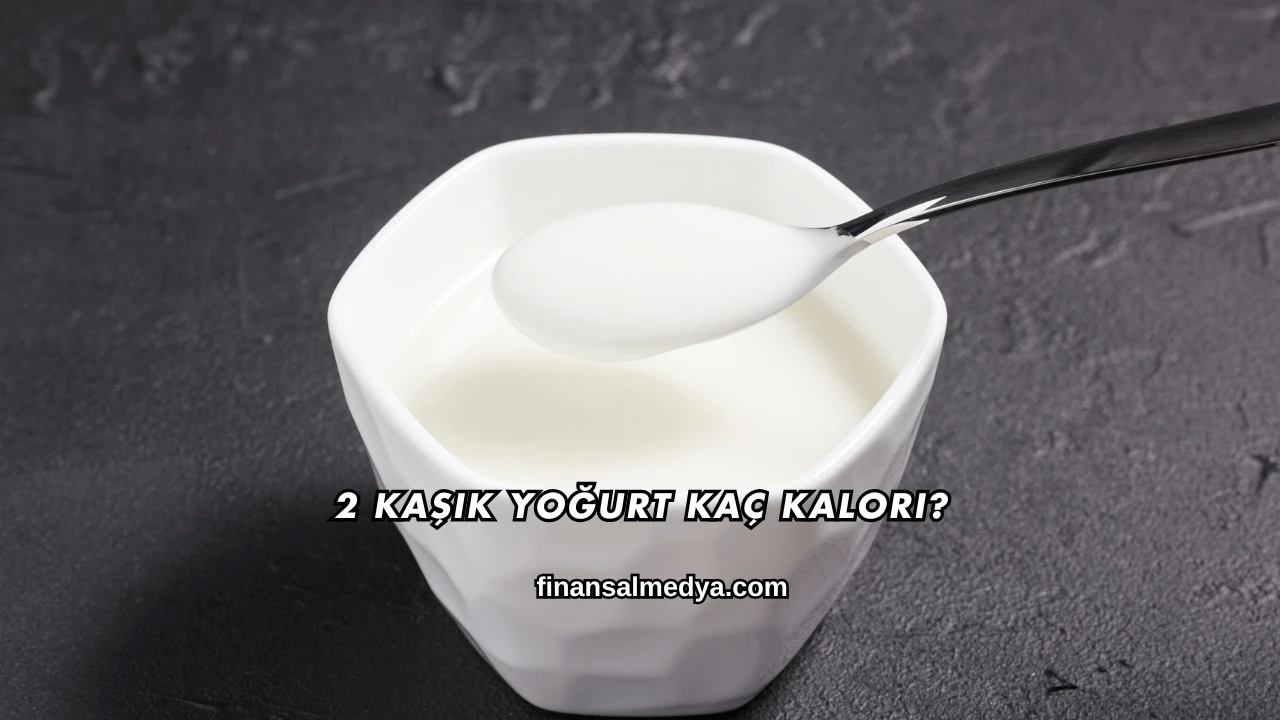 2 Kaşık Yoğurt Kaç Kalori?