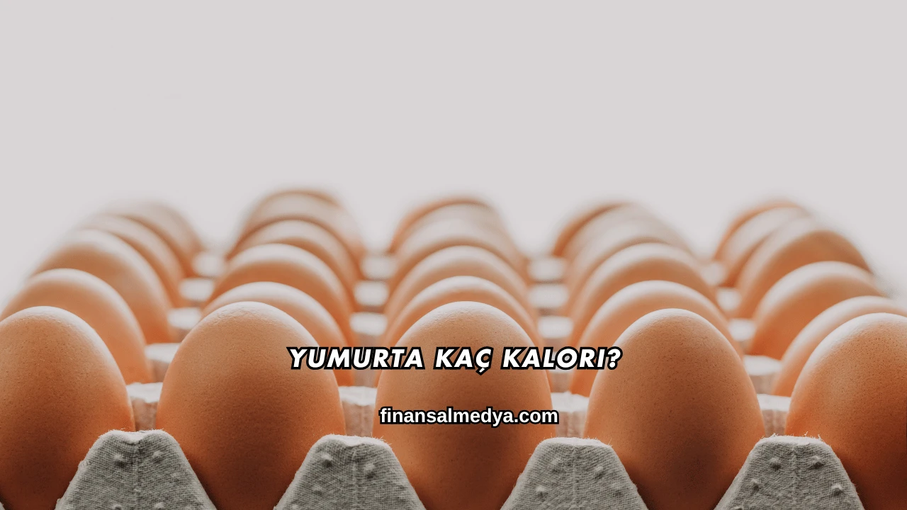 Yumurta Kaç Kalori?