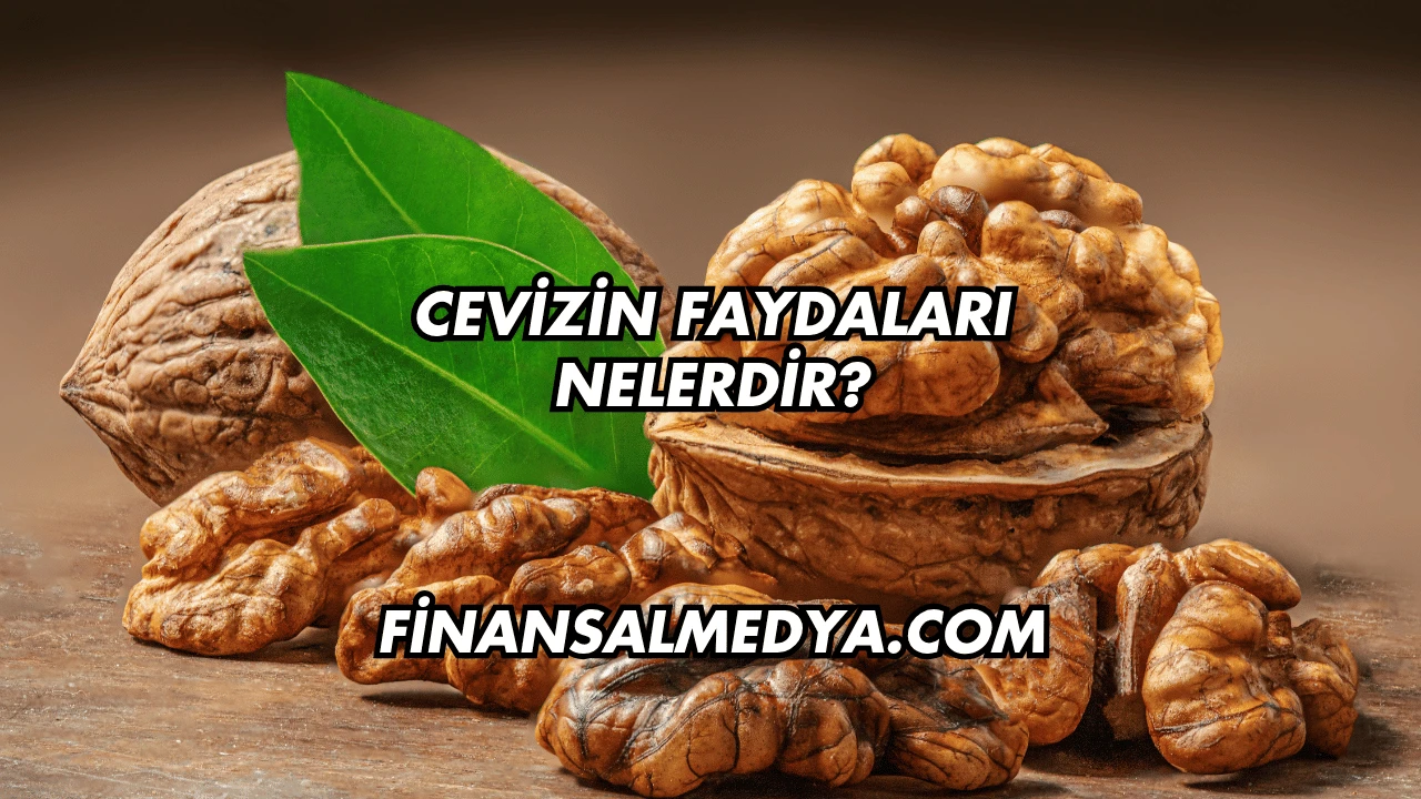 Cevizin Faydaları Nelerdir?
