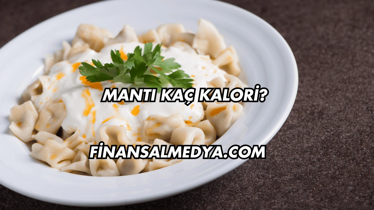 Mantı Kaç Kalori?