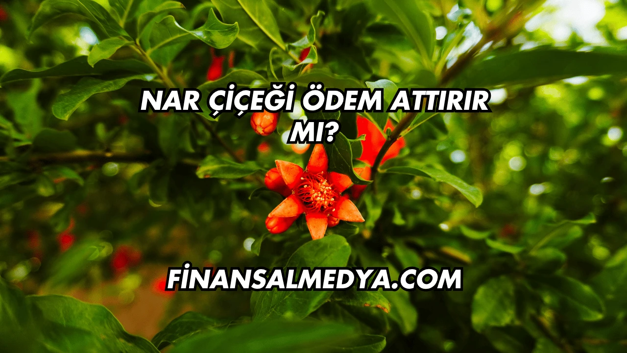 Nar Çiçeği Ödem Attırır mı?