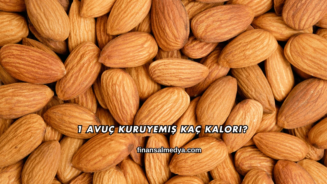 1 Avuç Kuruyemiş Kaç Kalori?