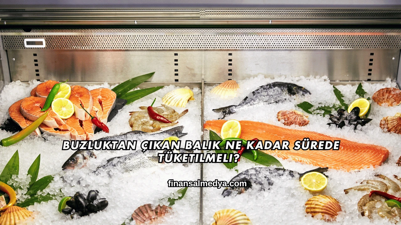 Buzluktan Çıkan Balık Ne Kadar Sürede Tüketilmeli?