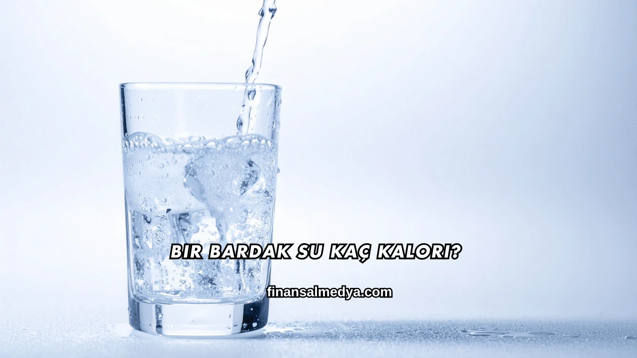 Bir Bardak Su Kaç Kalori?