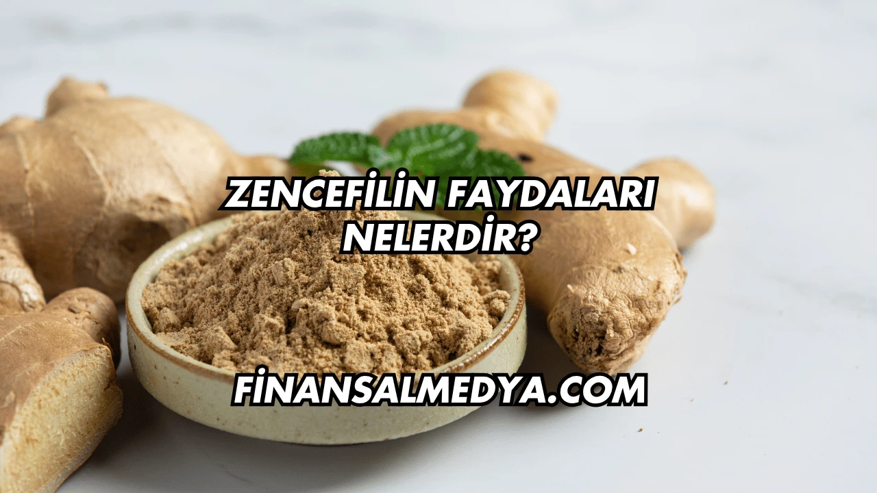 Zencefilin Faydaları Nelerdir?