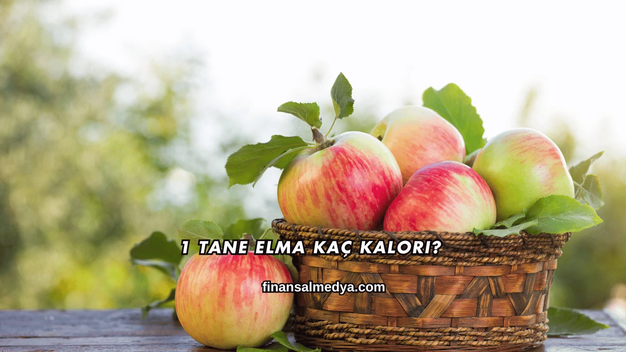 1 Tane Elma Kaç Kalori?