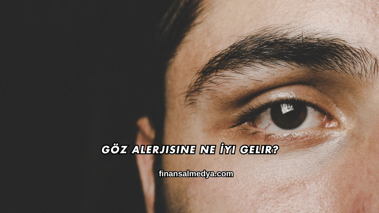 Göz Alerjisine Ne İyi Gelir?