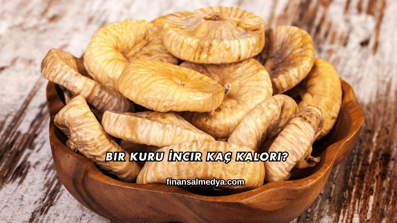 Bir Kuru İncir Kaç Kalori?