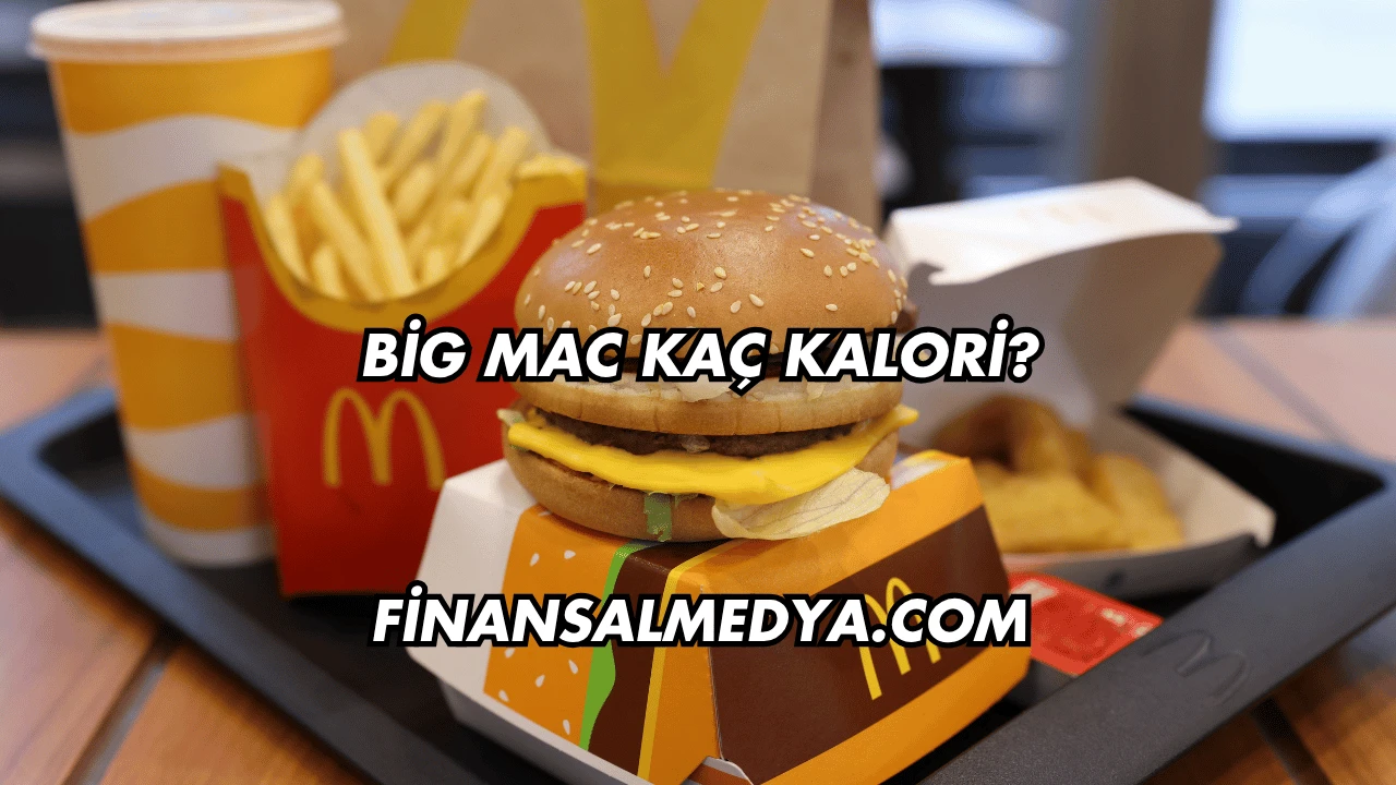 Big Mac Kaç Kalori?