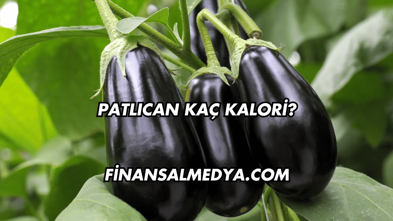 Patlıcan Kaç Kalori?