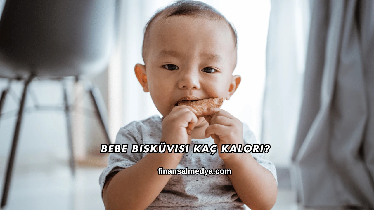 Bebe Bisküvisi Kaç Kalori?