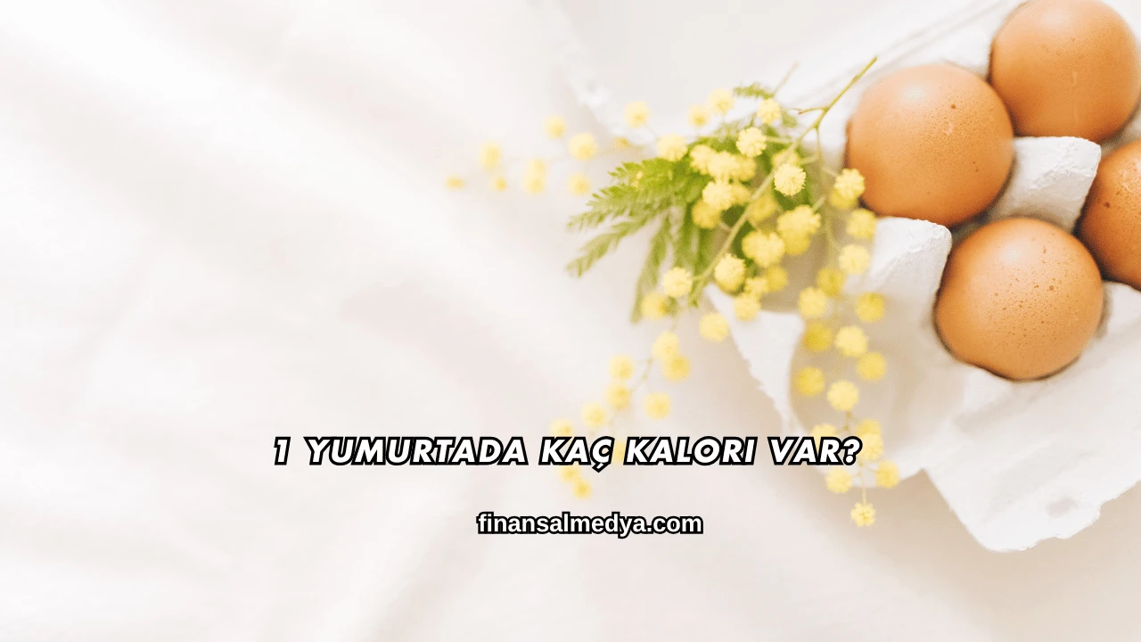 1 Yumurtada Kaç Kalori Var?