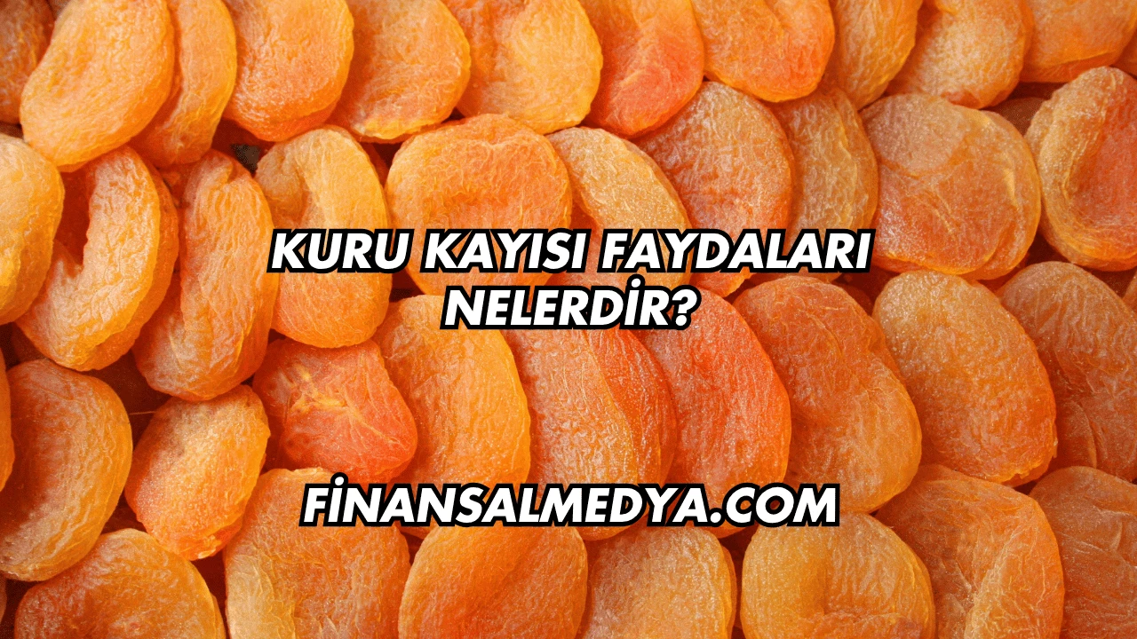 Kuru Kayısı Faydaları Nelerdir?