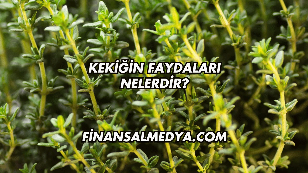 Kekiğin Faydaları Nelerdir?