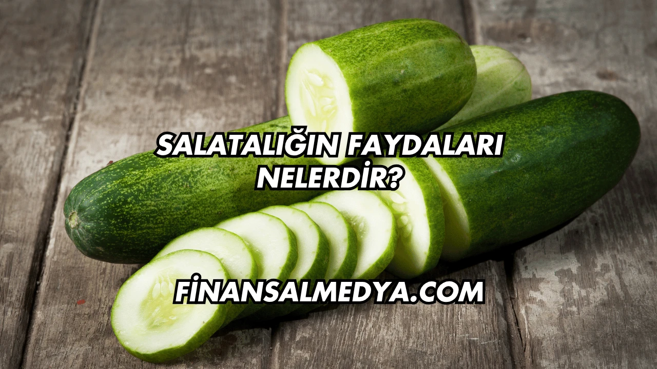 Salatalığın Faydaları Nelerdir?