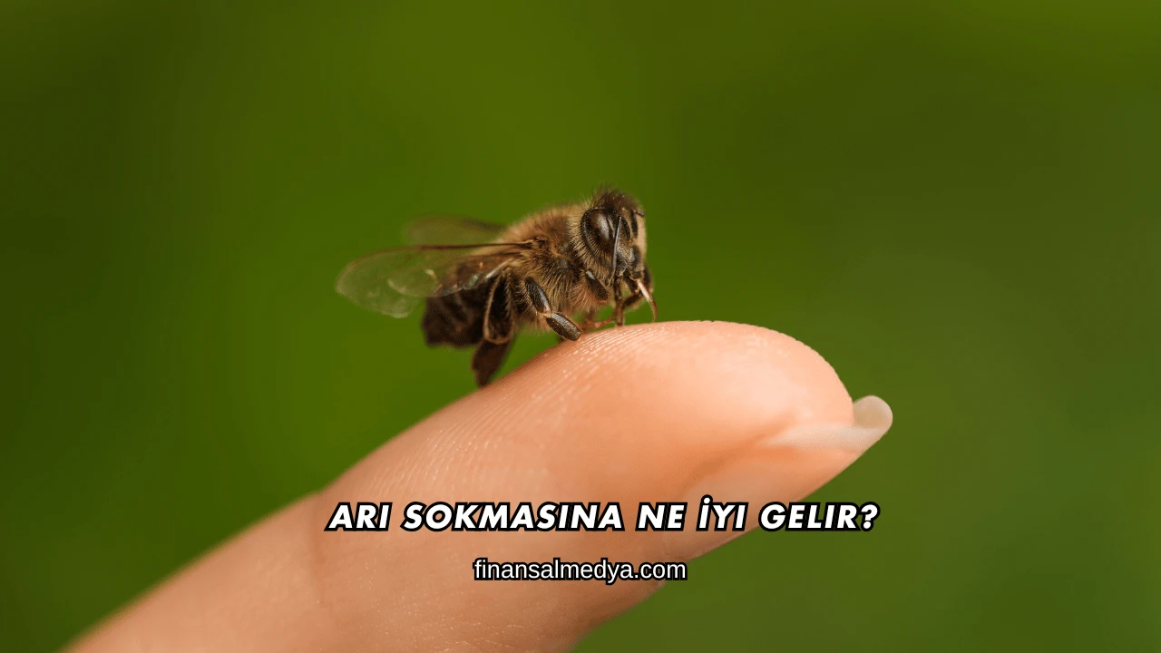 Arı Sokmasına Ne İyi Gelir?