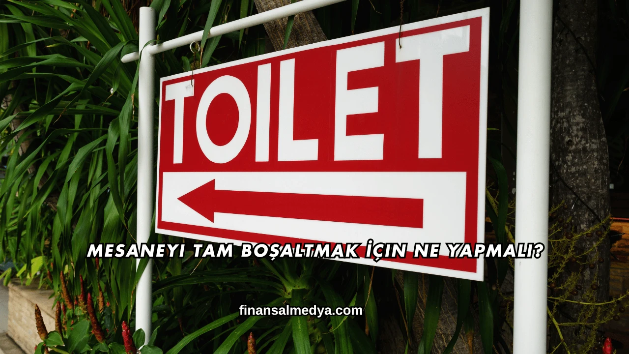 Mesaneyi Tam Boşaltmak İçin Ne Yapmalı?