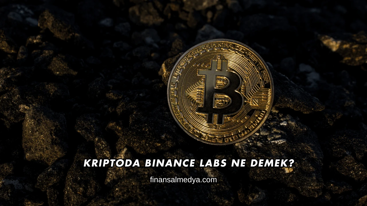 Kriptoda Binance Labs Ne Demek?