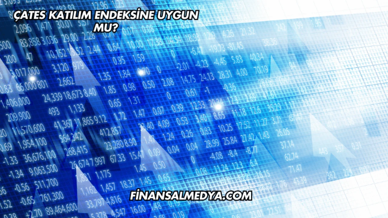 ÇATES Katılım Endeksine Uygun mu?