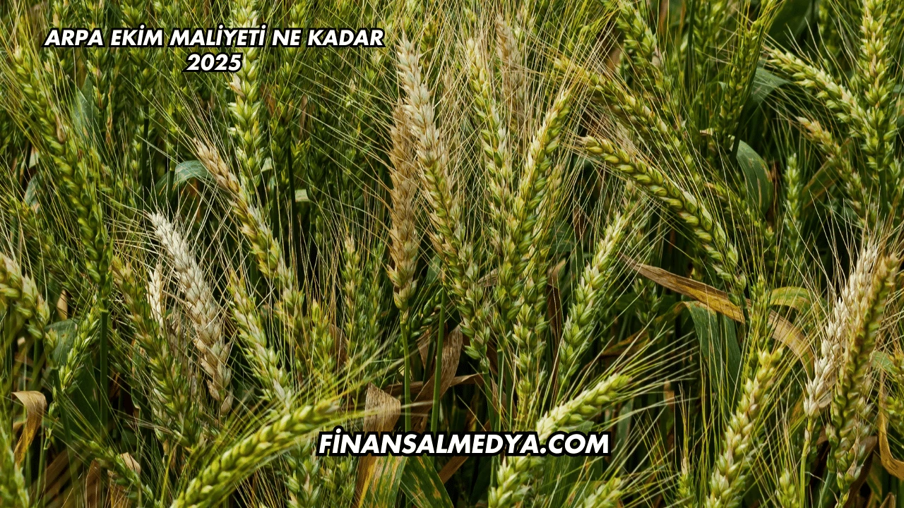 Arpa Ekim Maliyeti Ne Kadar 2025