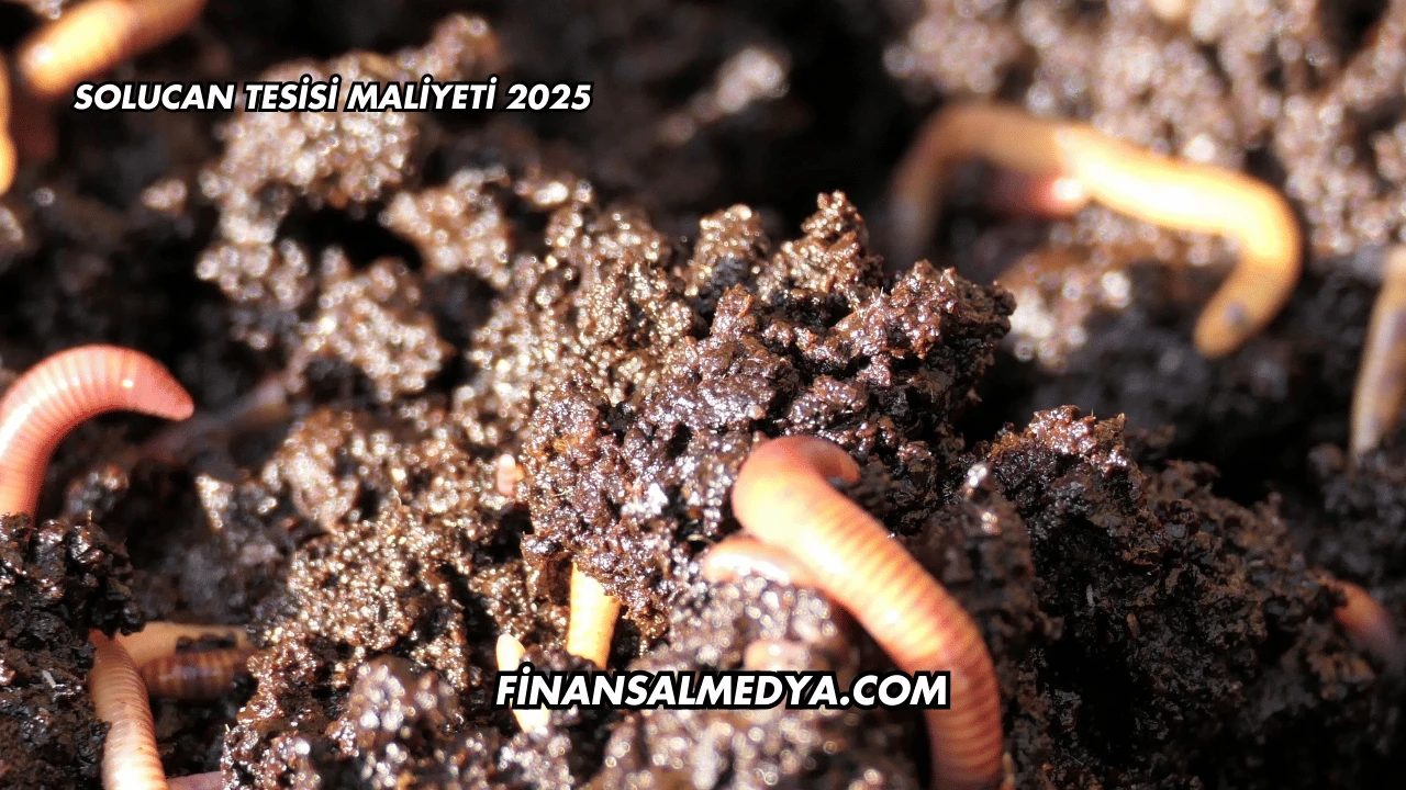 Solucan Tesisi Maliyeti 2025