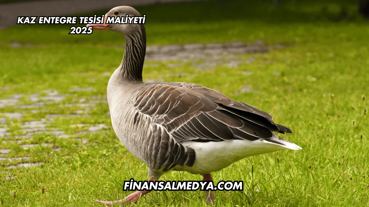 Kaz Entegre Tesisi Maliyeti 2025