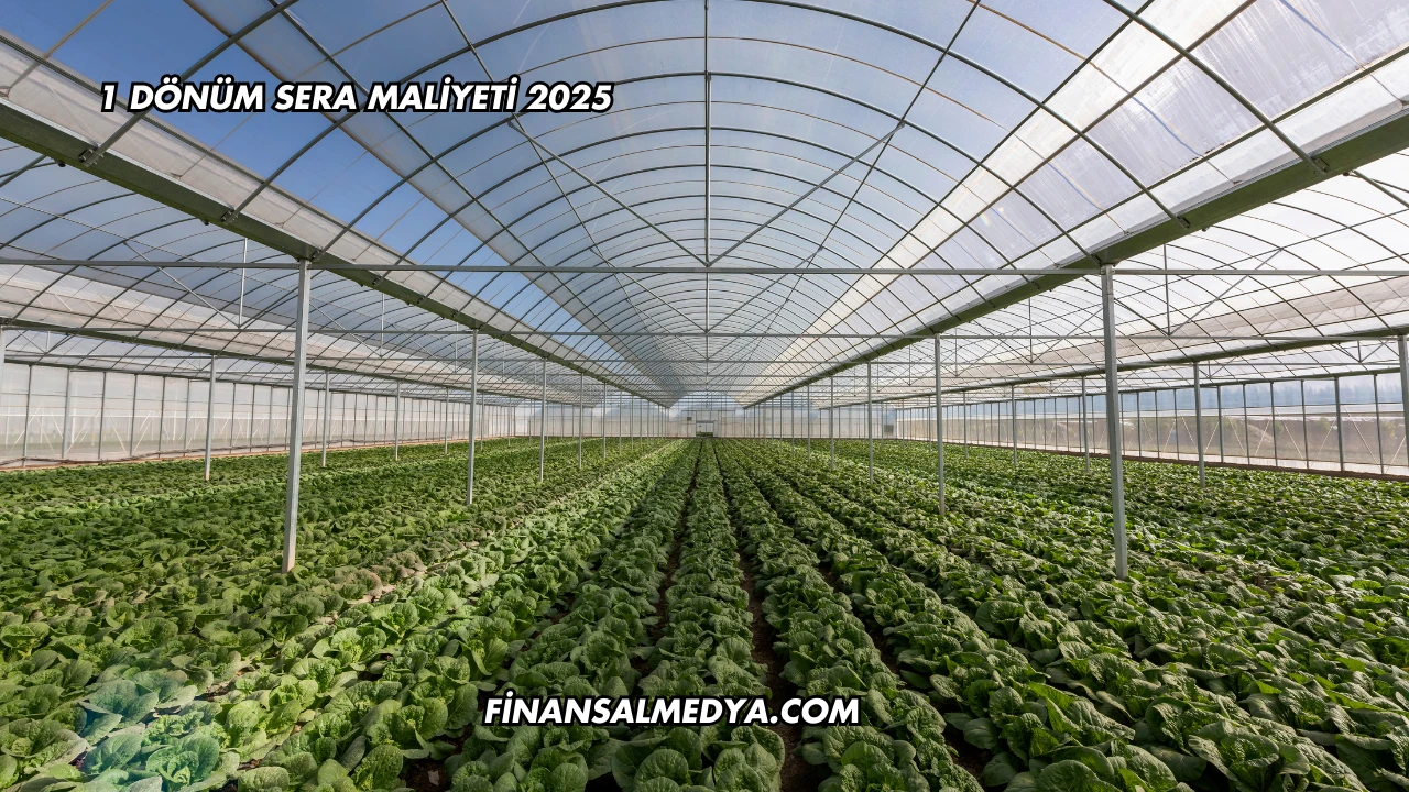 1 Dönüm Sera Maliyeti 2025