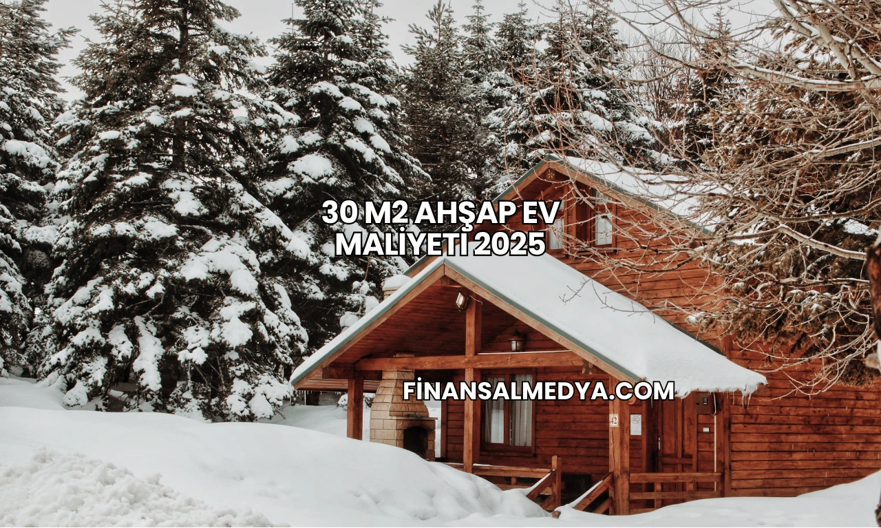 30 m2 Ahşap Ev Maliyeti 2025