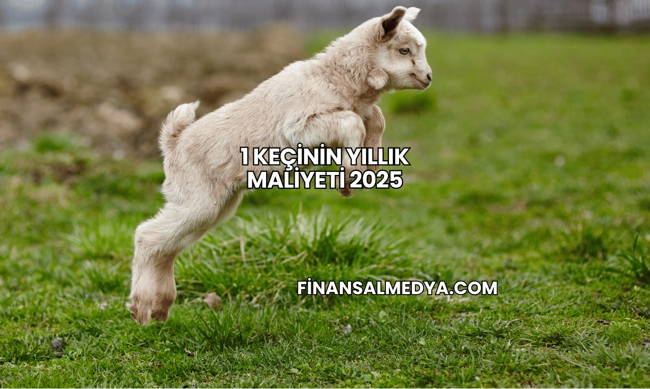 1 Keçinin Yıllık Maliyeti 2025